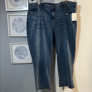 Nurture by Westbound Women’s Plus Size 24W Medium Blue Denim Cropped Jeans NWT